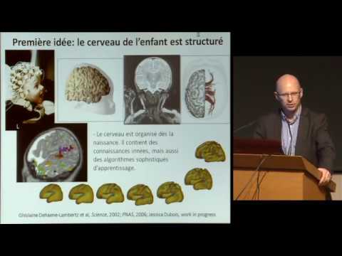 Les grands principes de l’apprentissage Stanislas Dehaene – CollegeDeFrance | YouTube