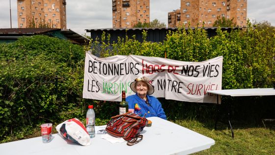 L'Association des Jardins Ouvriers des Vertus et le Collectif de Défense des Jardins Ouvriers d'Aubervilliers s'associent pour offrir une entrée gratuite, un repas gratuit et un barbecue ouvert le 8 mai 2023, à Paris, France. Une partie des jardins d'Aubervilliers est toujours menacée de démolition pour permettre la construction d'une piscine et d'un solarium pour les Jeux Olympiques. ©Getty - Ameer Alhalbi