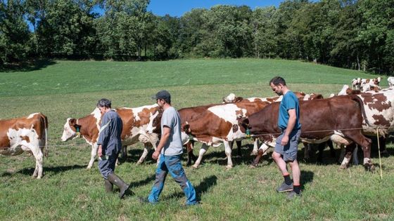 Image du film « La ferme des Bertrand » de Gilles Perret