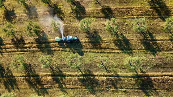 Pesticides, un nouvel indicateur toxique ? LaQuestionDuJour | France Culture