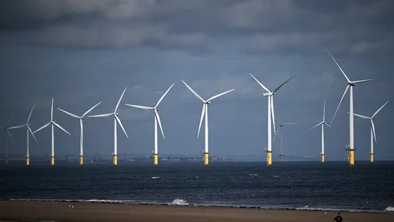 Éolien en mer, qui dérange-t-il ? – LeTempsDuDébat – France Culture