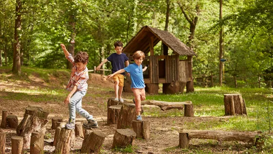 La nouvelle école de la forêt