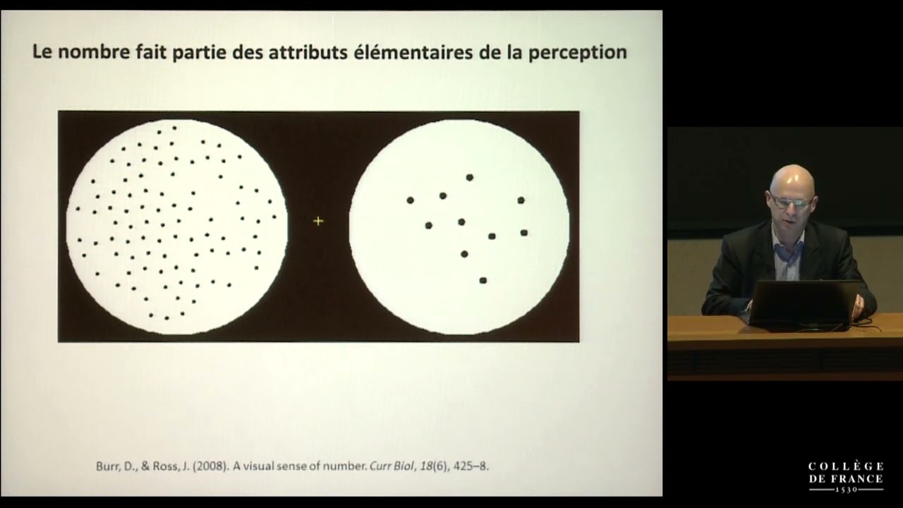 Fondements cognitifs des apprentissages scolaires (7) - Stanislas Dehaene  (2014-2015) - YouTube